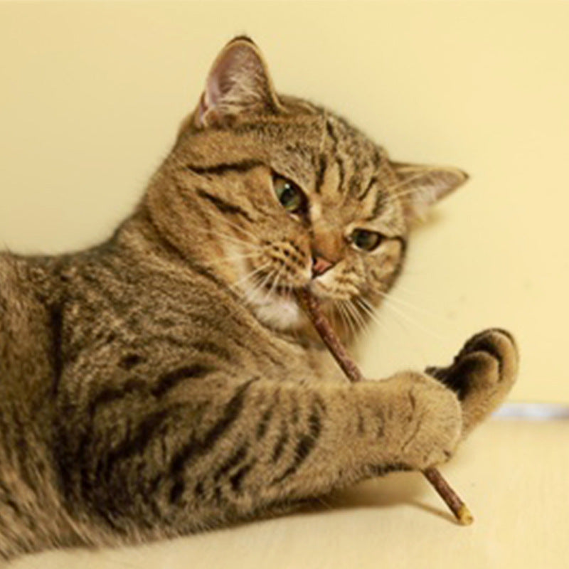 HUILUN Selected Matatabi Tooth Cleaning Chew Sticks