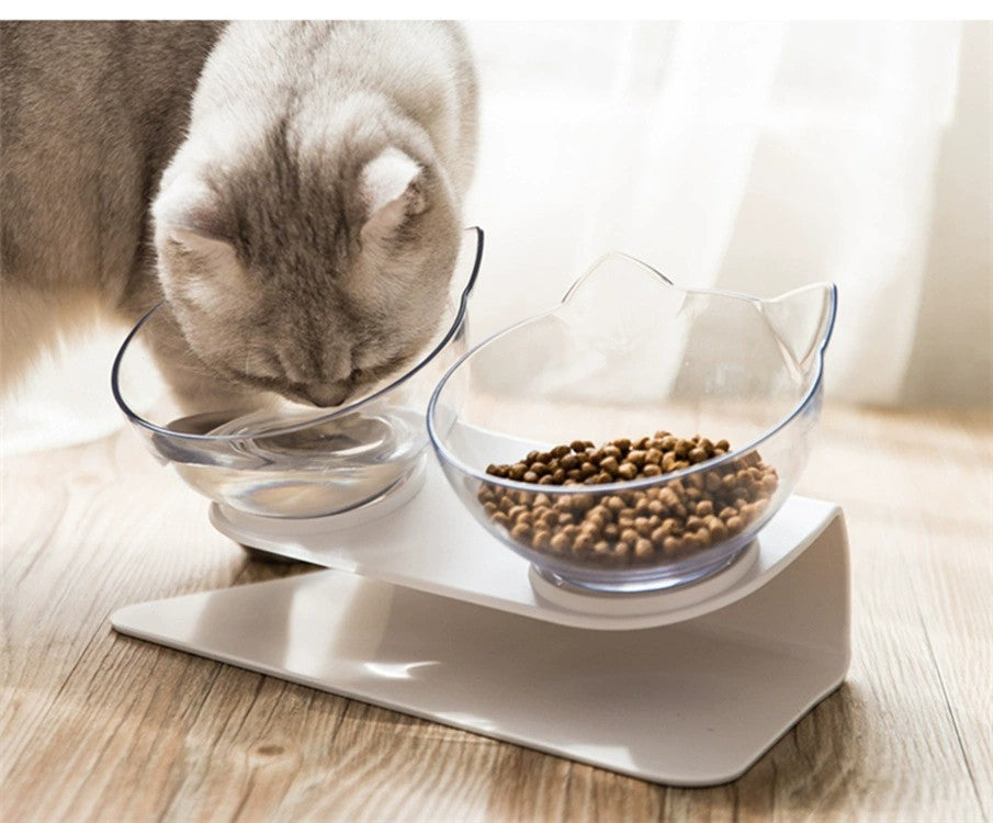 HUILUN Selected Tilted Elevated Pet Double Bowls